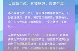 开云体育官方网站-包含极致竞技，精湛技艺在比赛场上展露无遗的词条