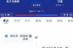 开云平台-关于汉堡队客场逆转对手，取得保级利好的信息